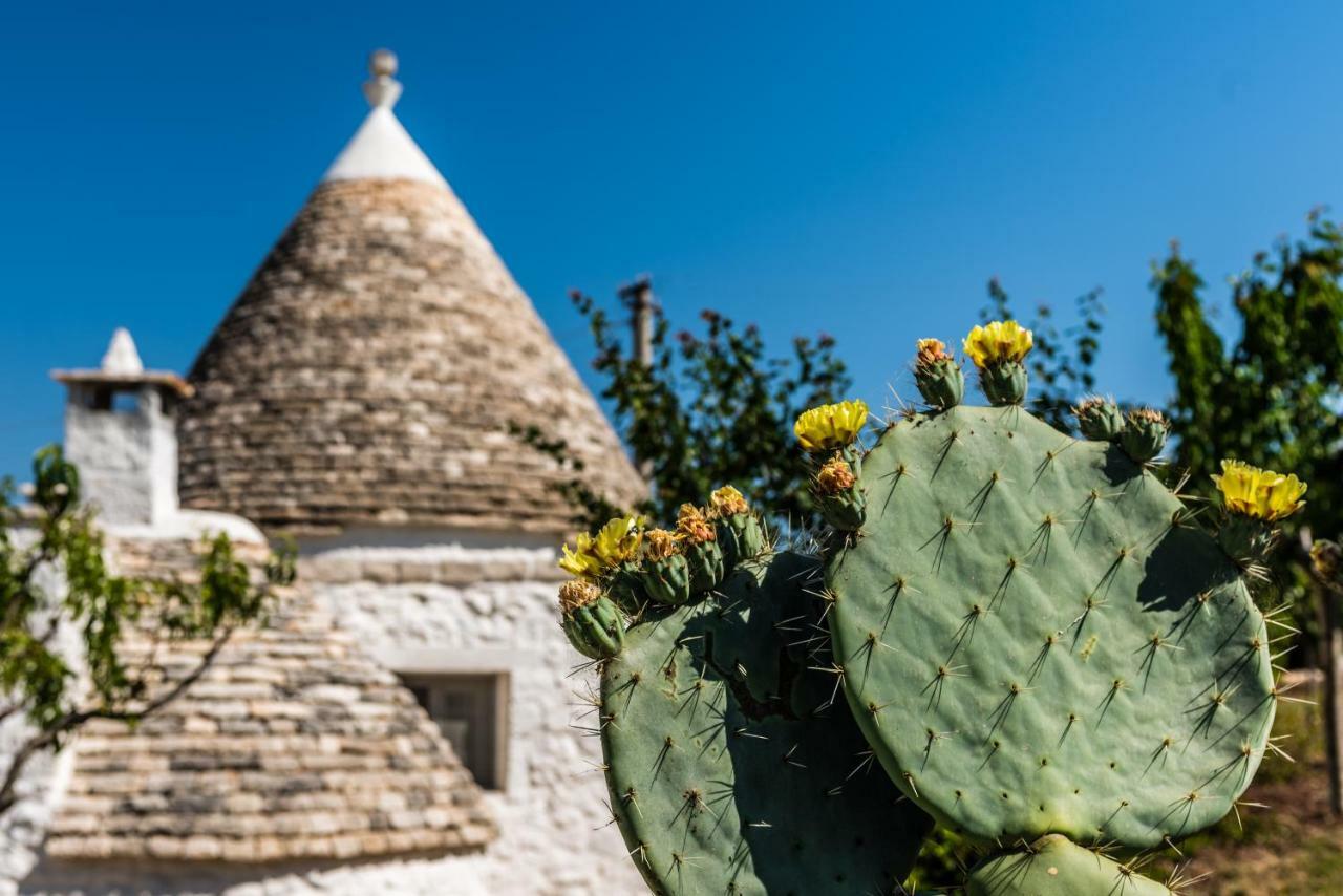 奥斯图尼Trullo Picchiagiuda别墅 外观 照片